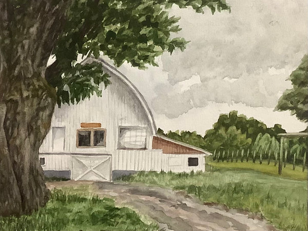 St. Lawrence Nurseries Framed Watercolor