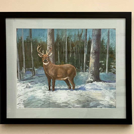 “Winter Whitetail” Original Framed Pastel