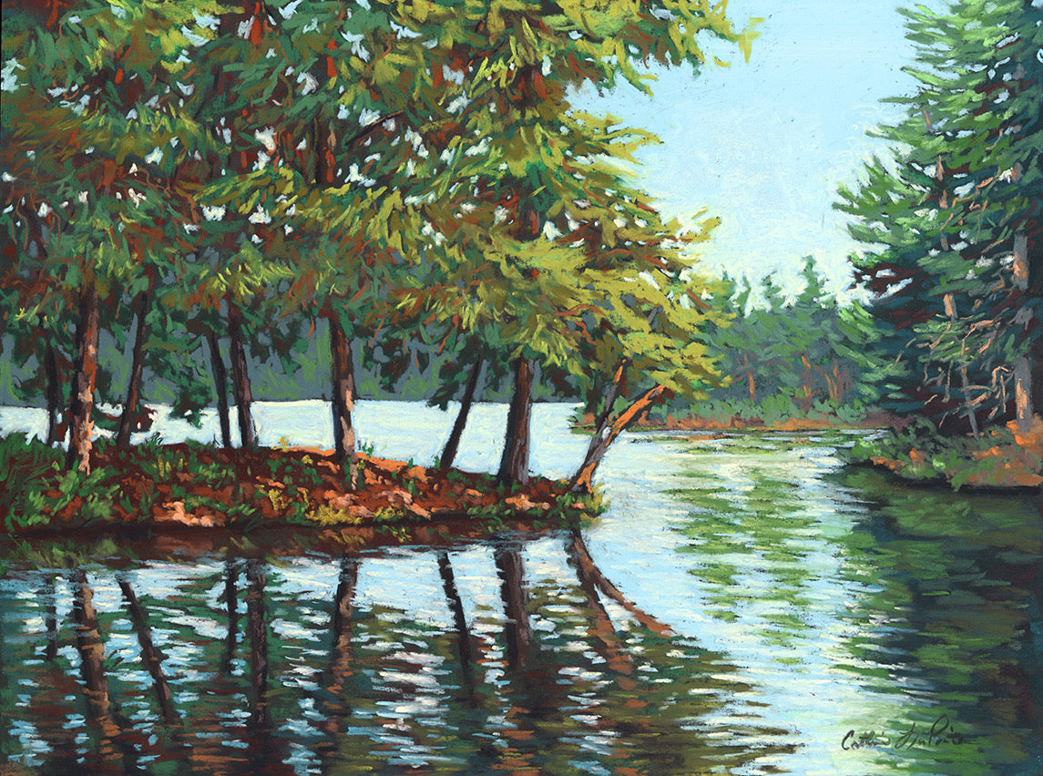 Black Pond - Original Framed Pastel