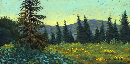 View Behind the Barn - Original Framed Pastel