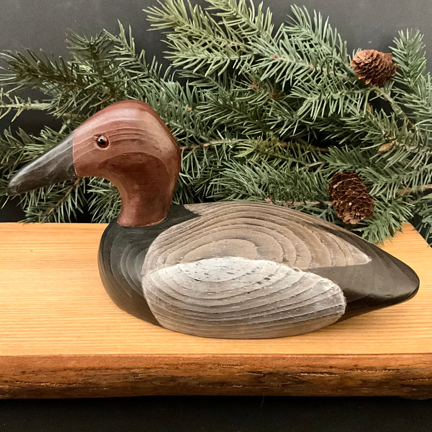 Mini Canvasback Decoy two tone wings