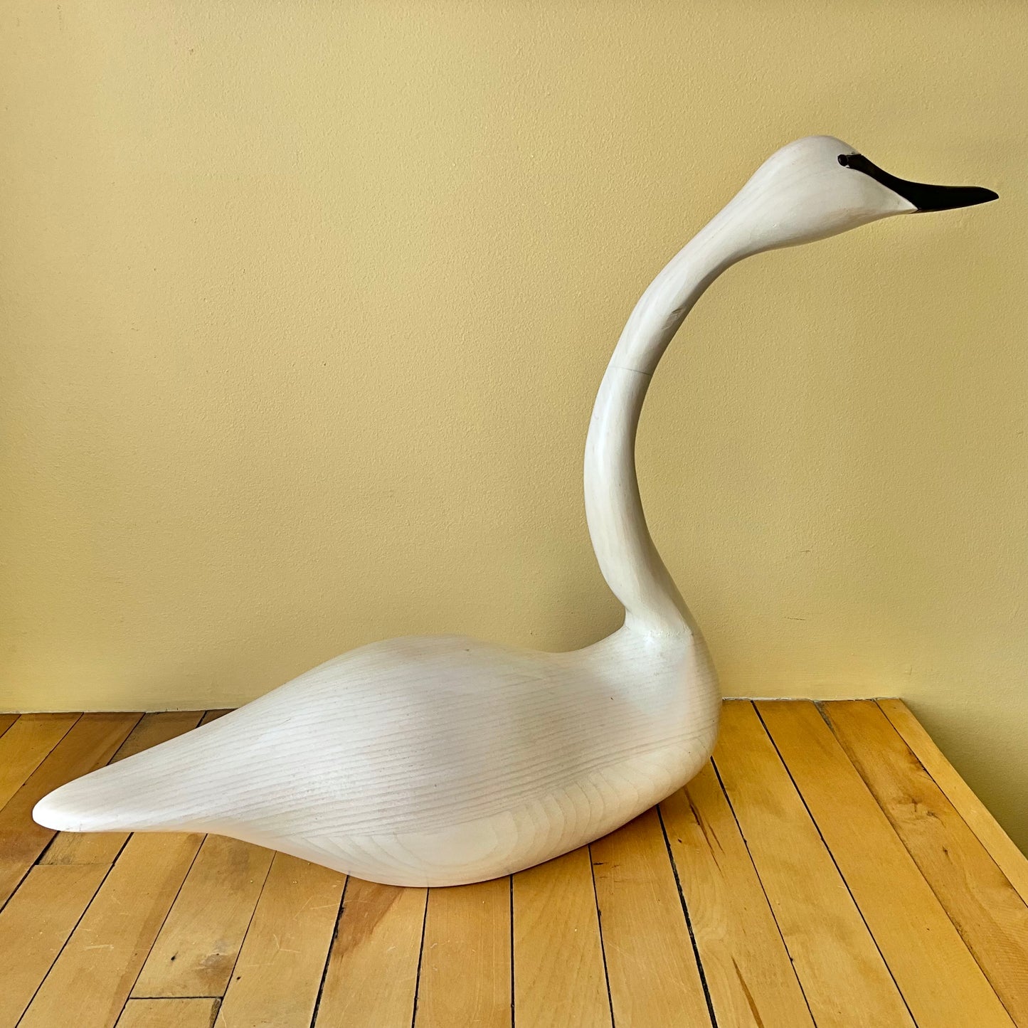 White Swan