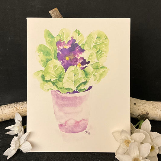 Purple Primula greeting card