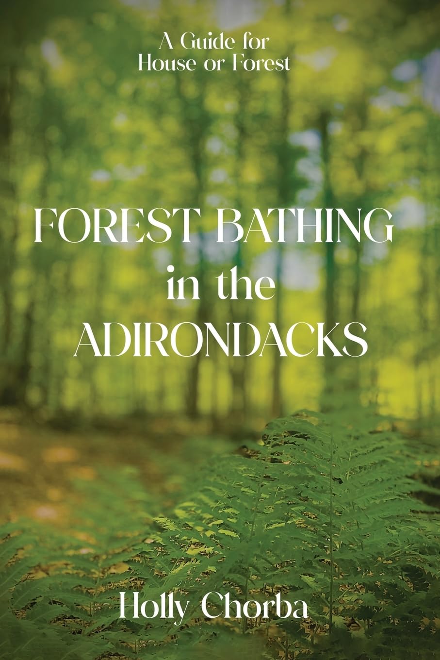 Forest Bathing in the Adirondacks