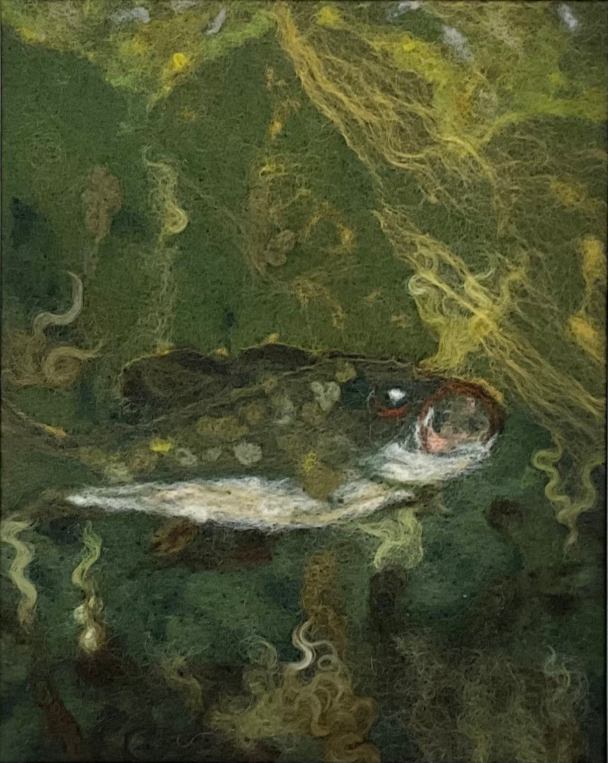 Large Mouth Bass - Print of Hand Felted Framed Art