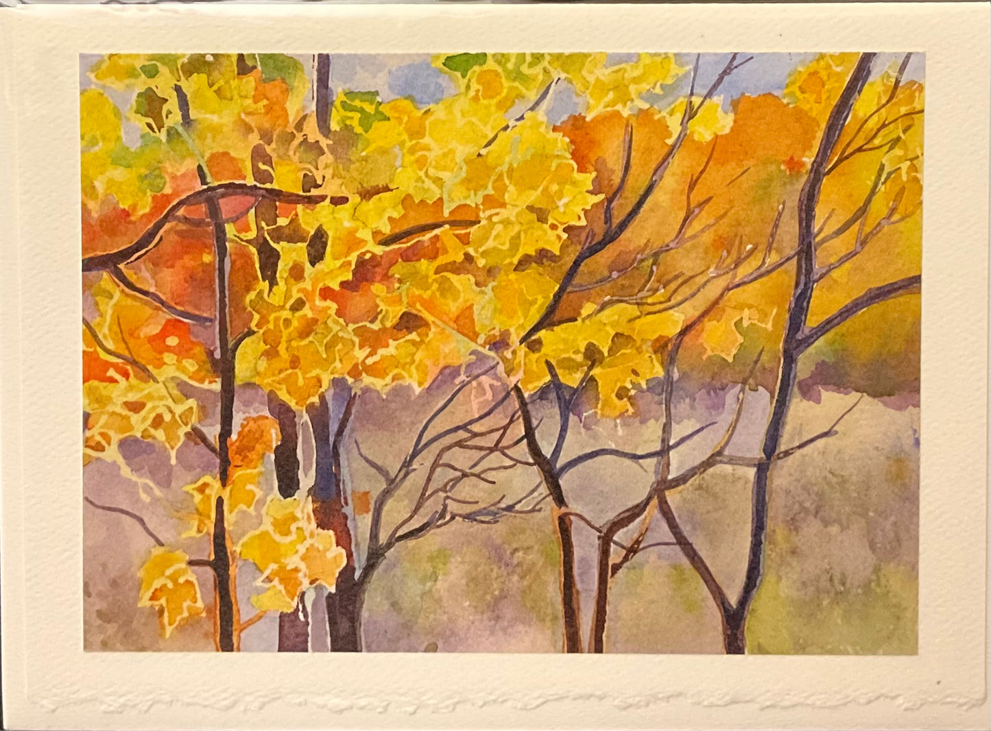 “Maples on Warm Afternoon” Note Card