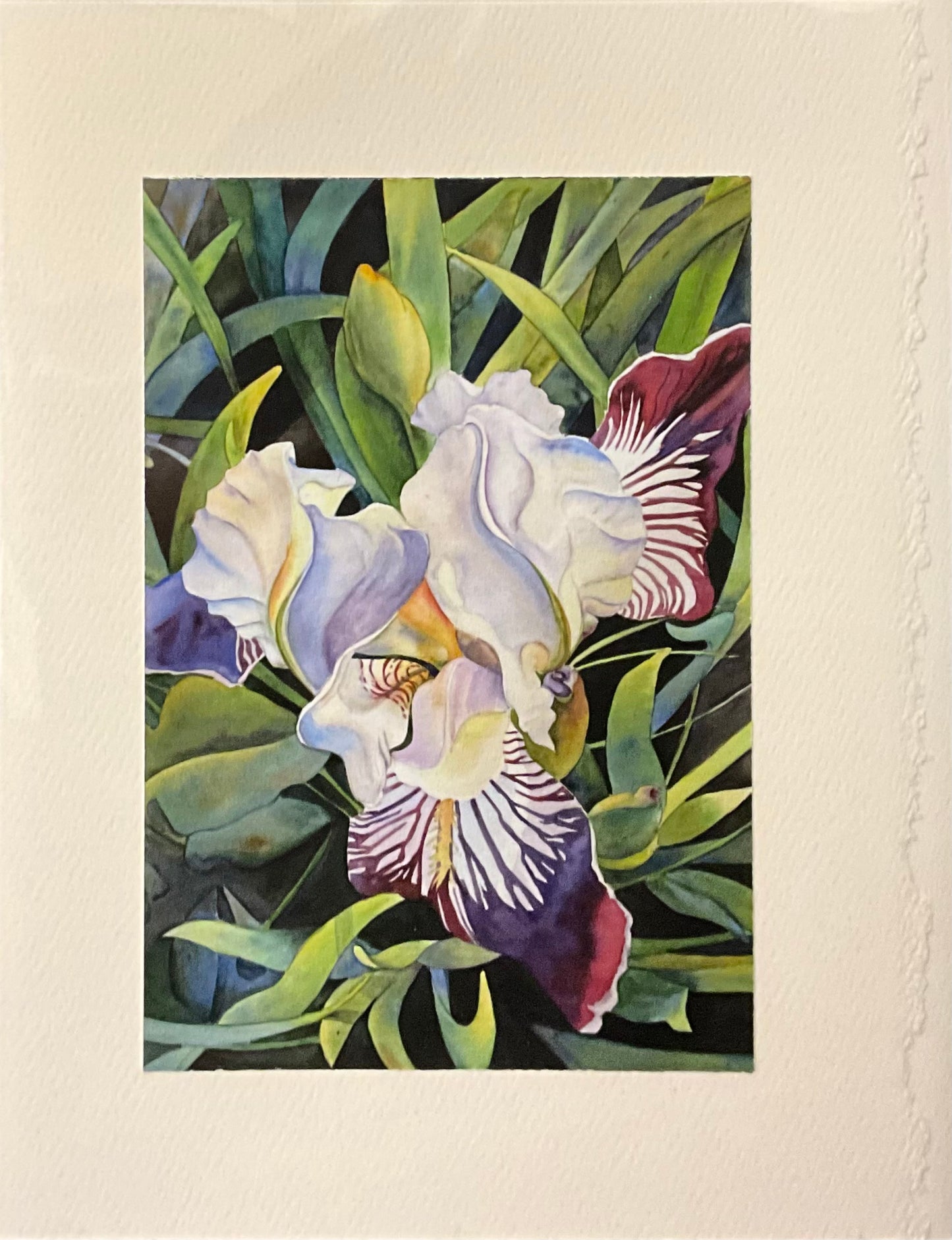 “Farm Iris” Note Card