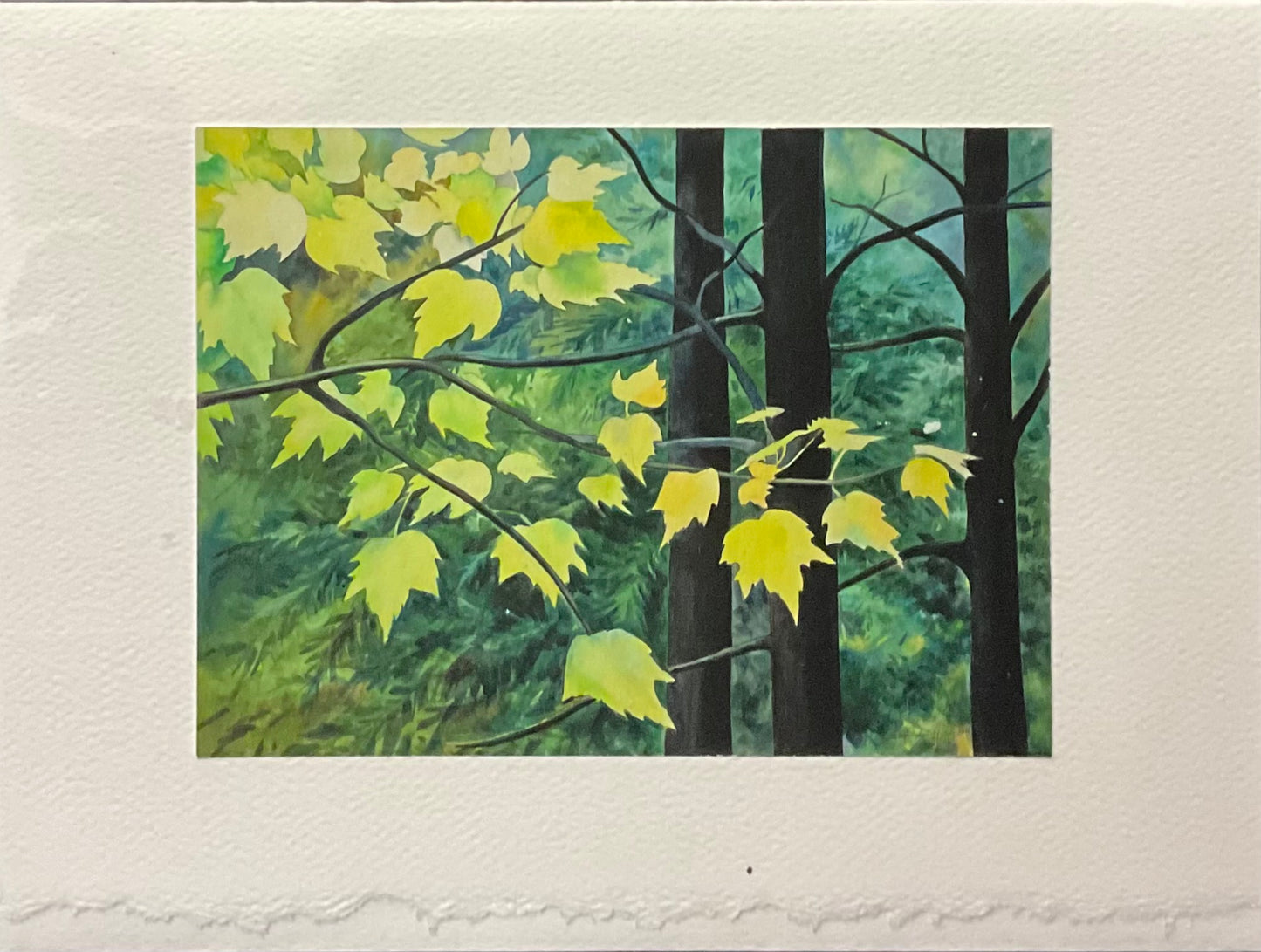 “Forest Progression” Note Card