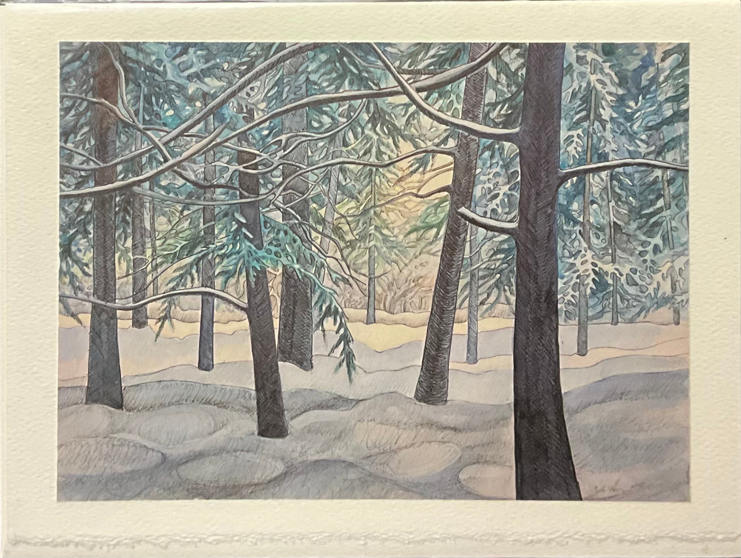 “Evergreen Cathedral” Note Card