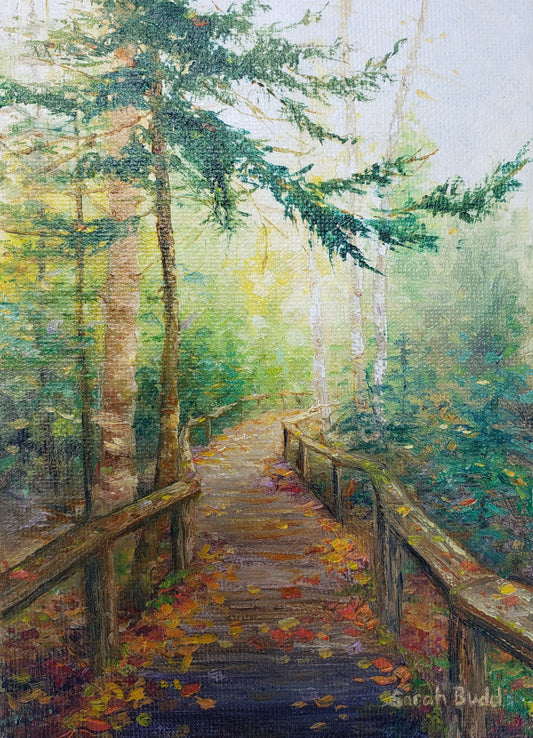 Wild Center Nature Trail