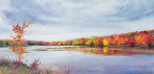 Looking West onto Raquette Pond