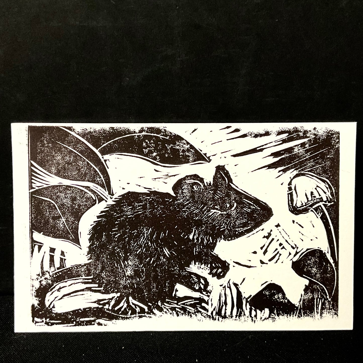 Wood Rat  Linel Print