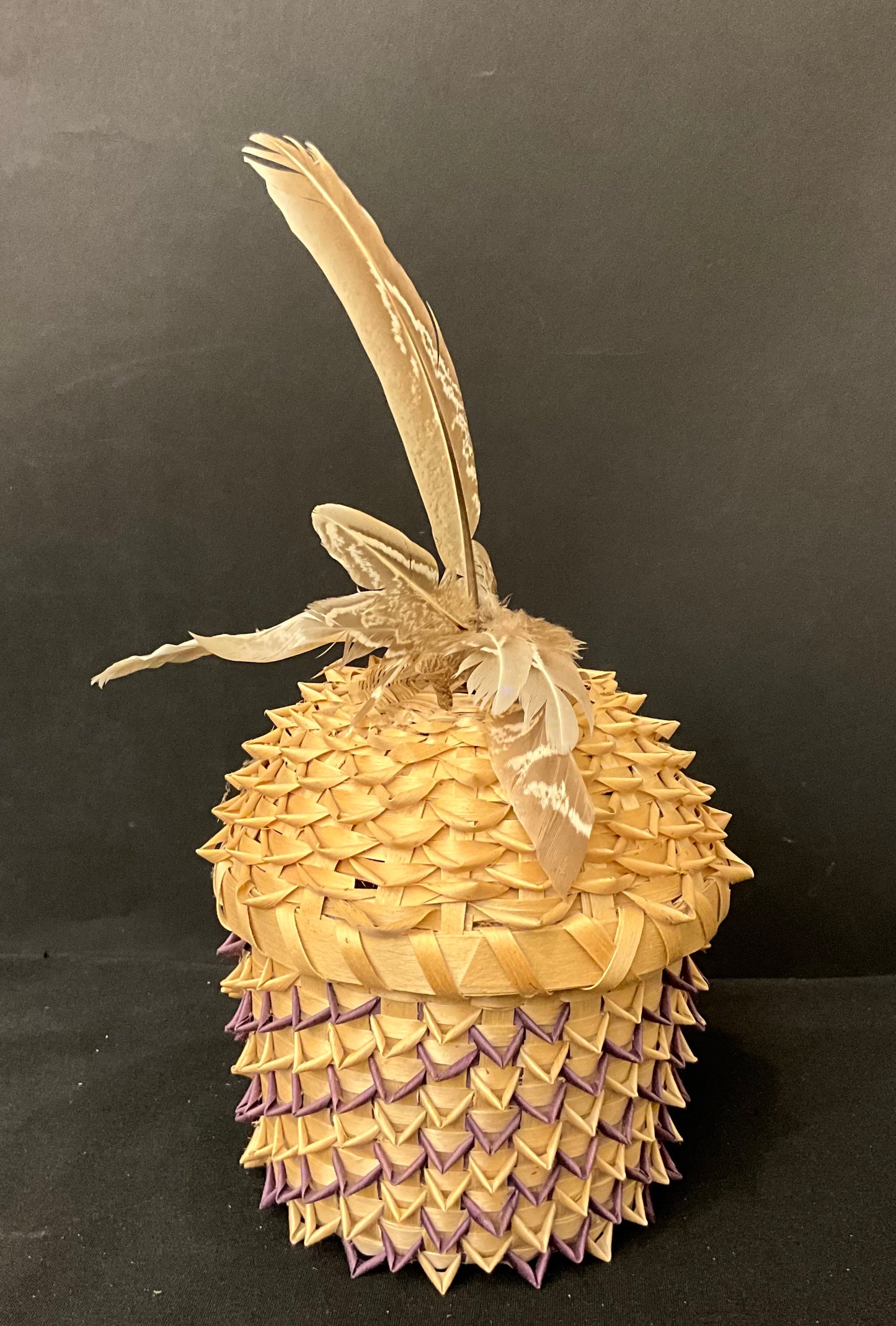 Set of 6 Dyed Ash Baskets with Feathers