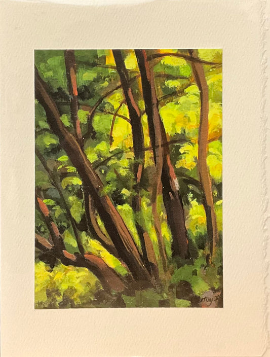 “Afternoon Sunlight” Note Card