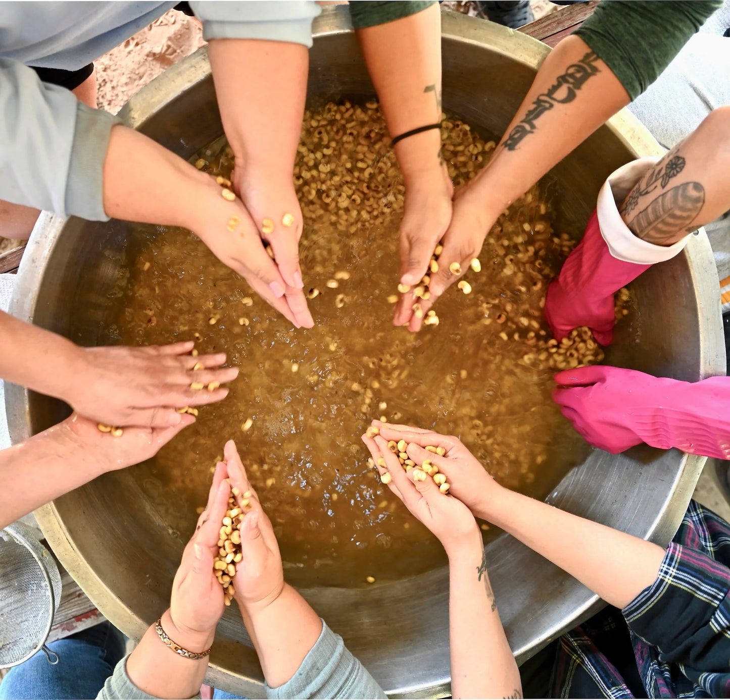 Pink Gloves Washing White Corn, Framed Digital Photograph, Giclee Print