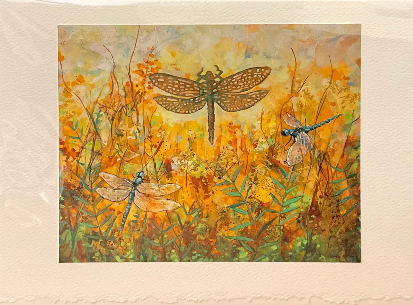 “Dragonfly Season” Note Card