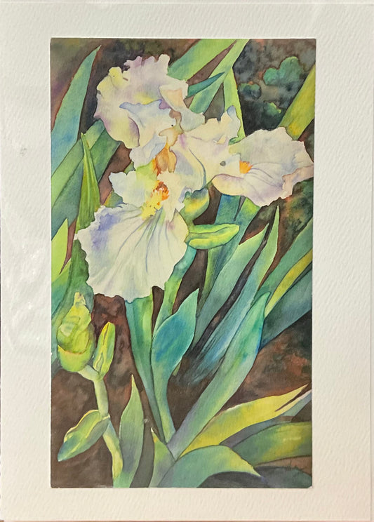 “Spring Iris” Note Card