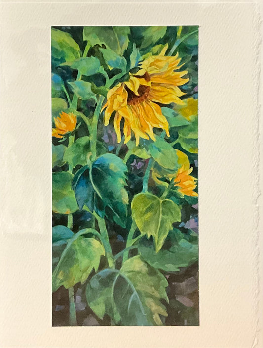 “Sun Buddies” Note Card