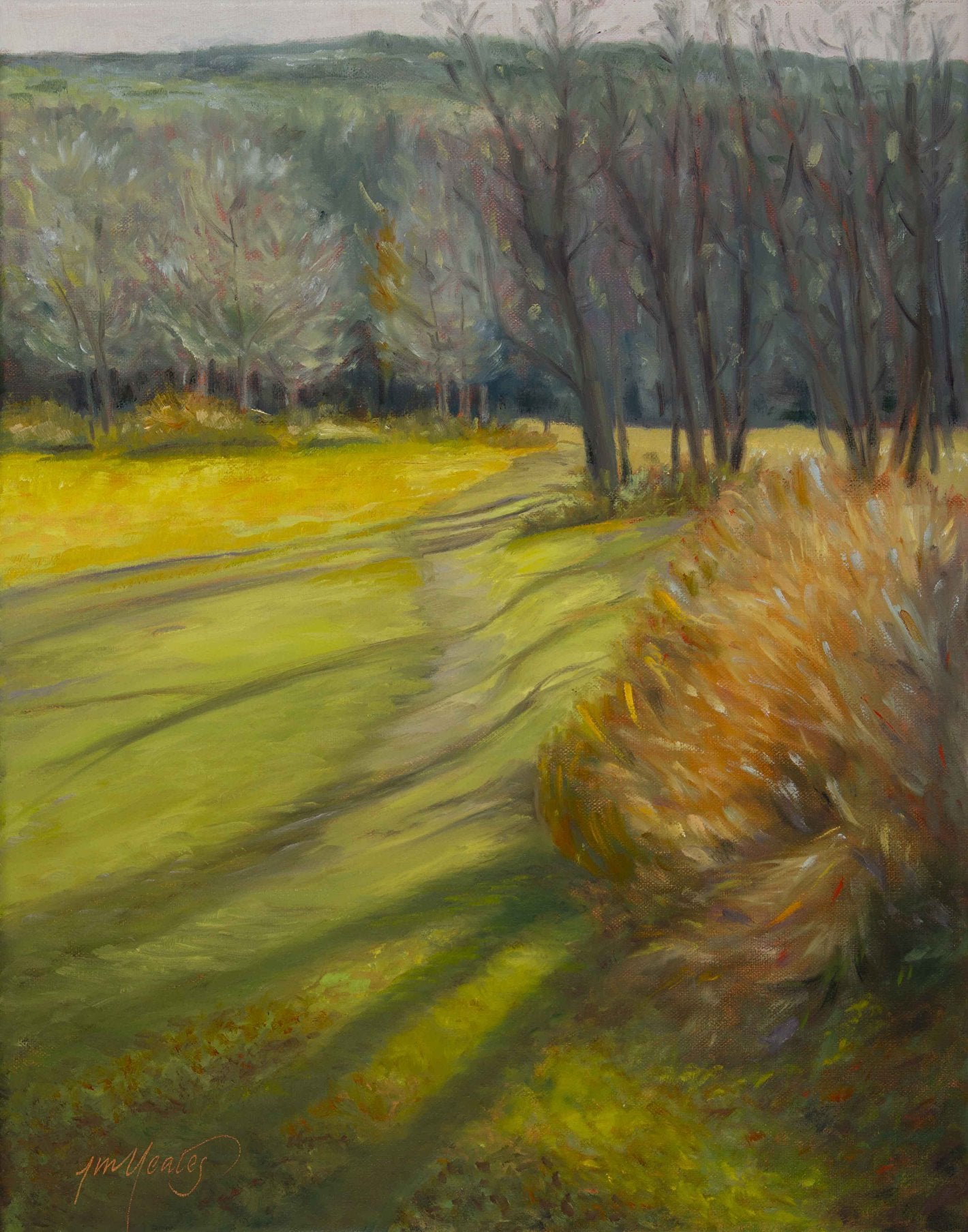 “Hedgerow Shadows” Notecard