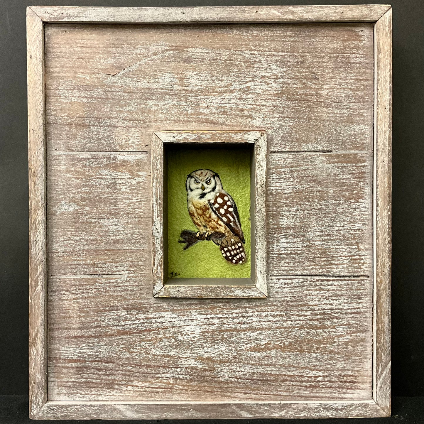 Shadow Box with Embroidered Northern Hawk Owl