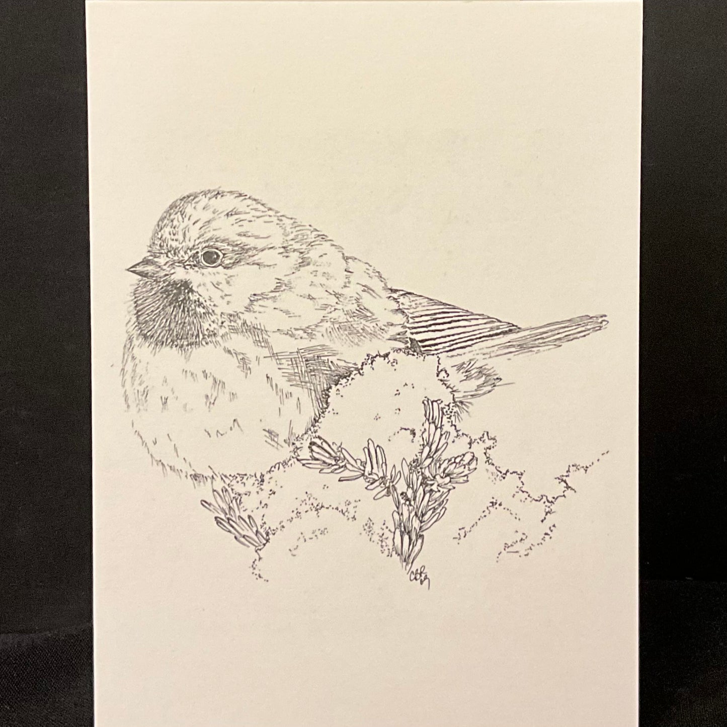 Chickadee Card