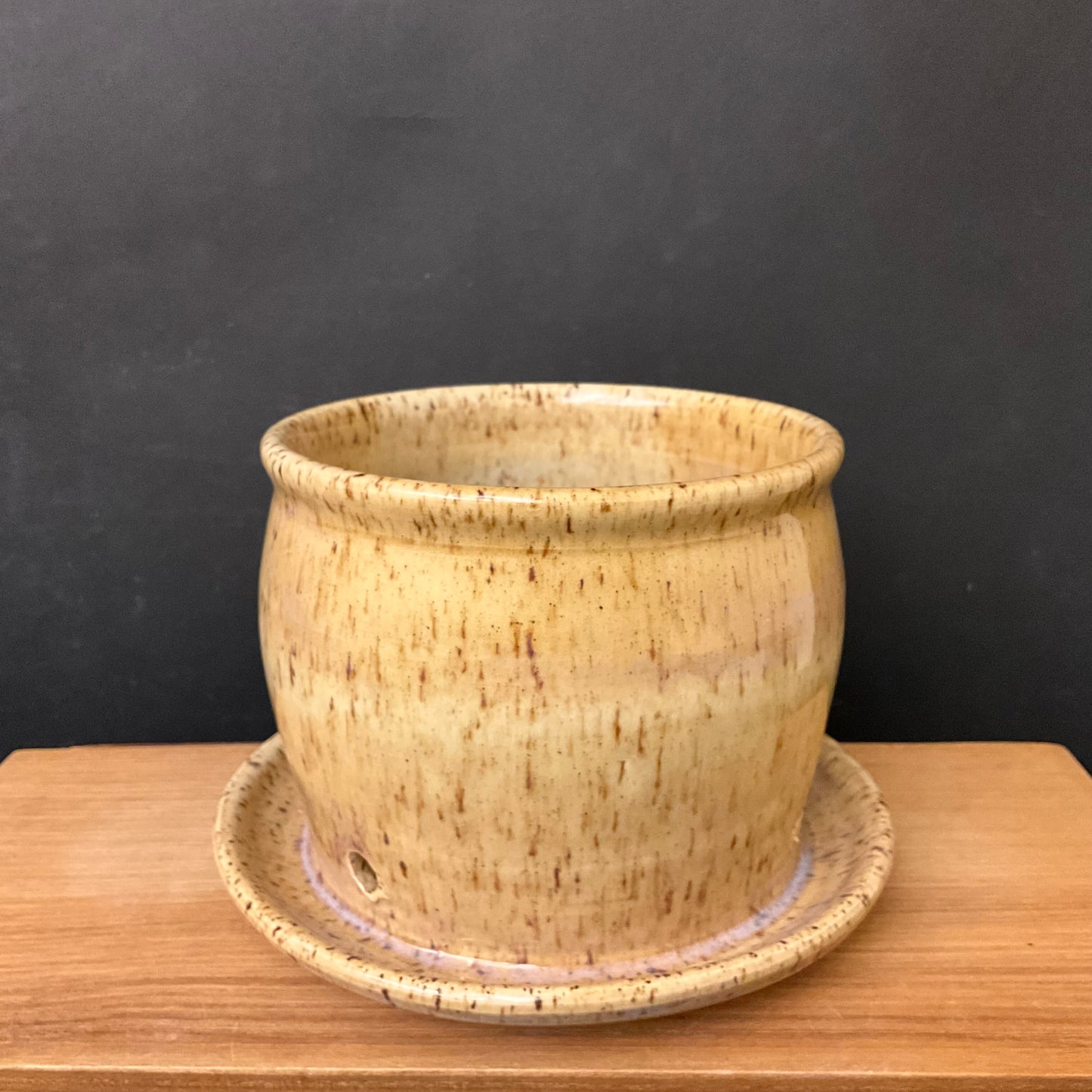 Medium Planter in Gold with Attached Plate