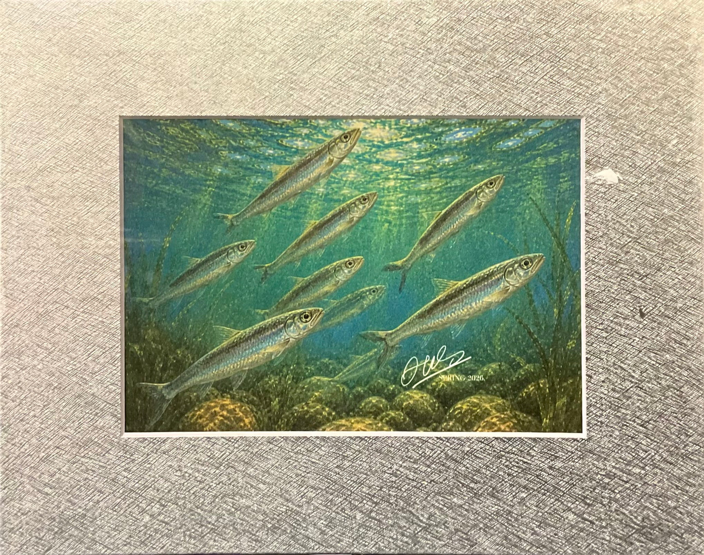Smelt Print