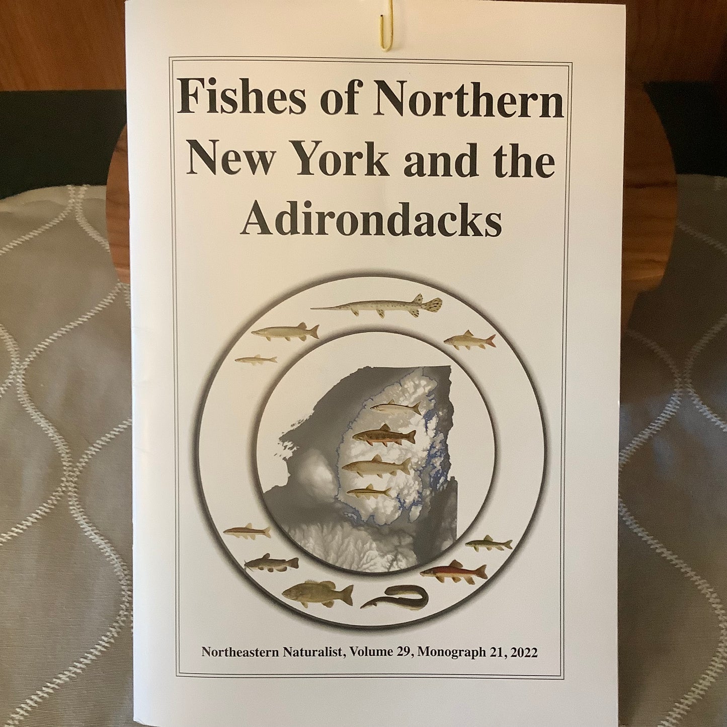 Fishes of NNY and the ADKs