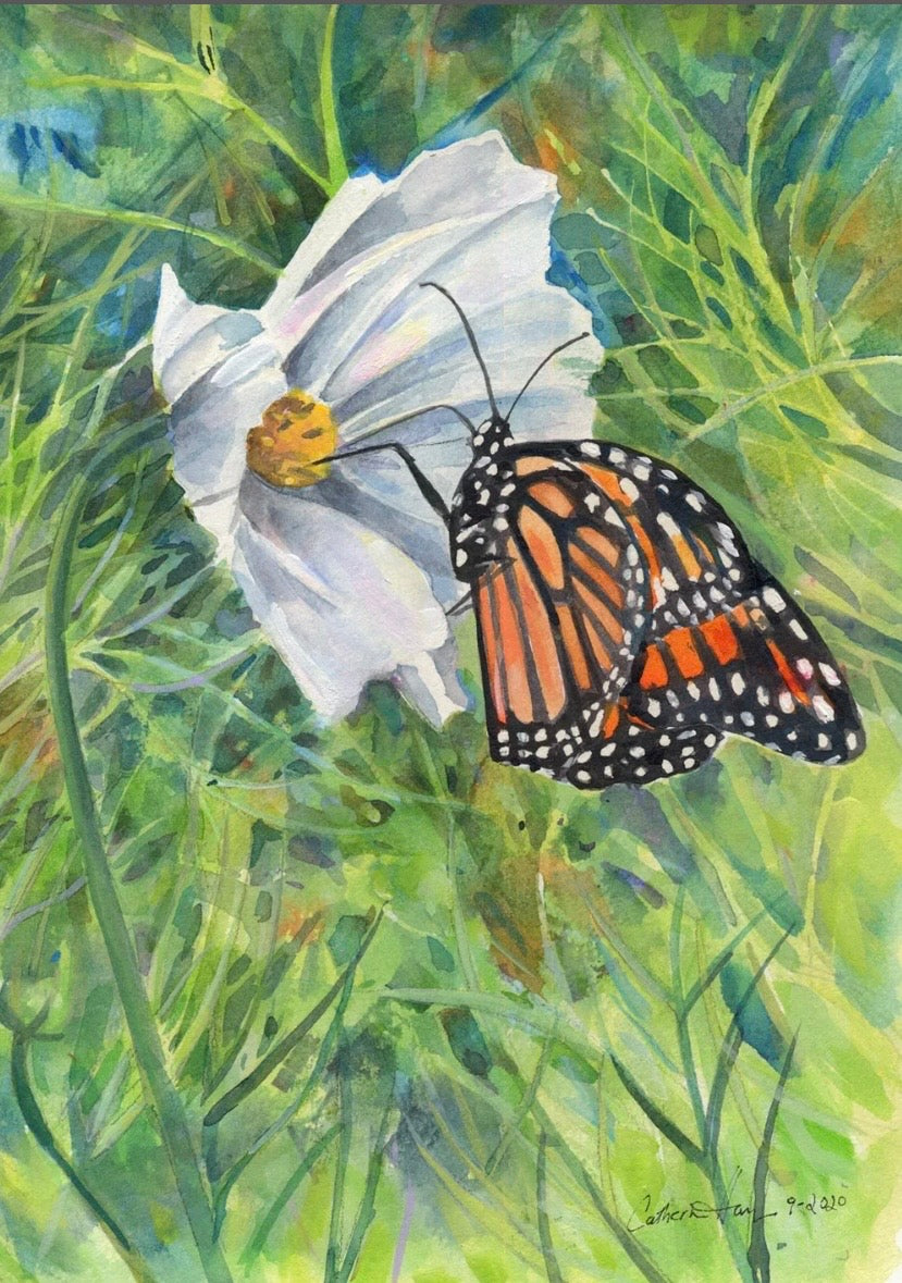 “Molly's Monarch” Note Card