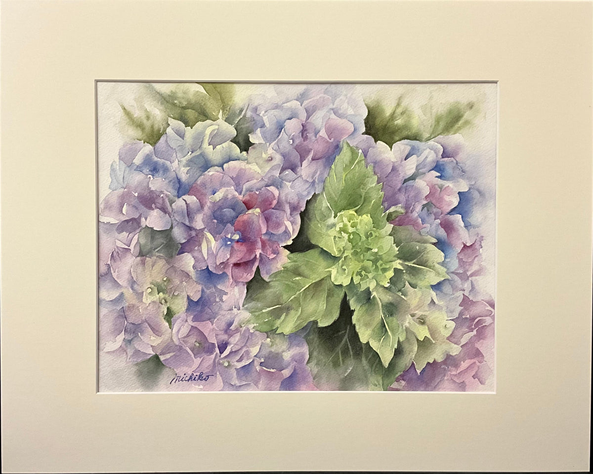 "Hydrangea", Original Watercolor, Matted