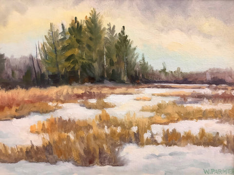 “Duck Marsh in Winter ”  Oil on Canvas