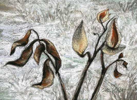 “Milkweed” Original Pastel