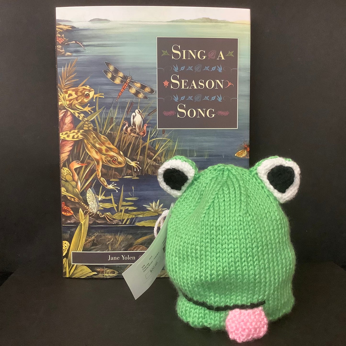 Knitted Frog Baby/toddler Hat