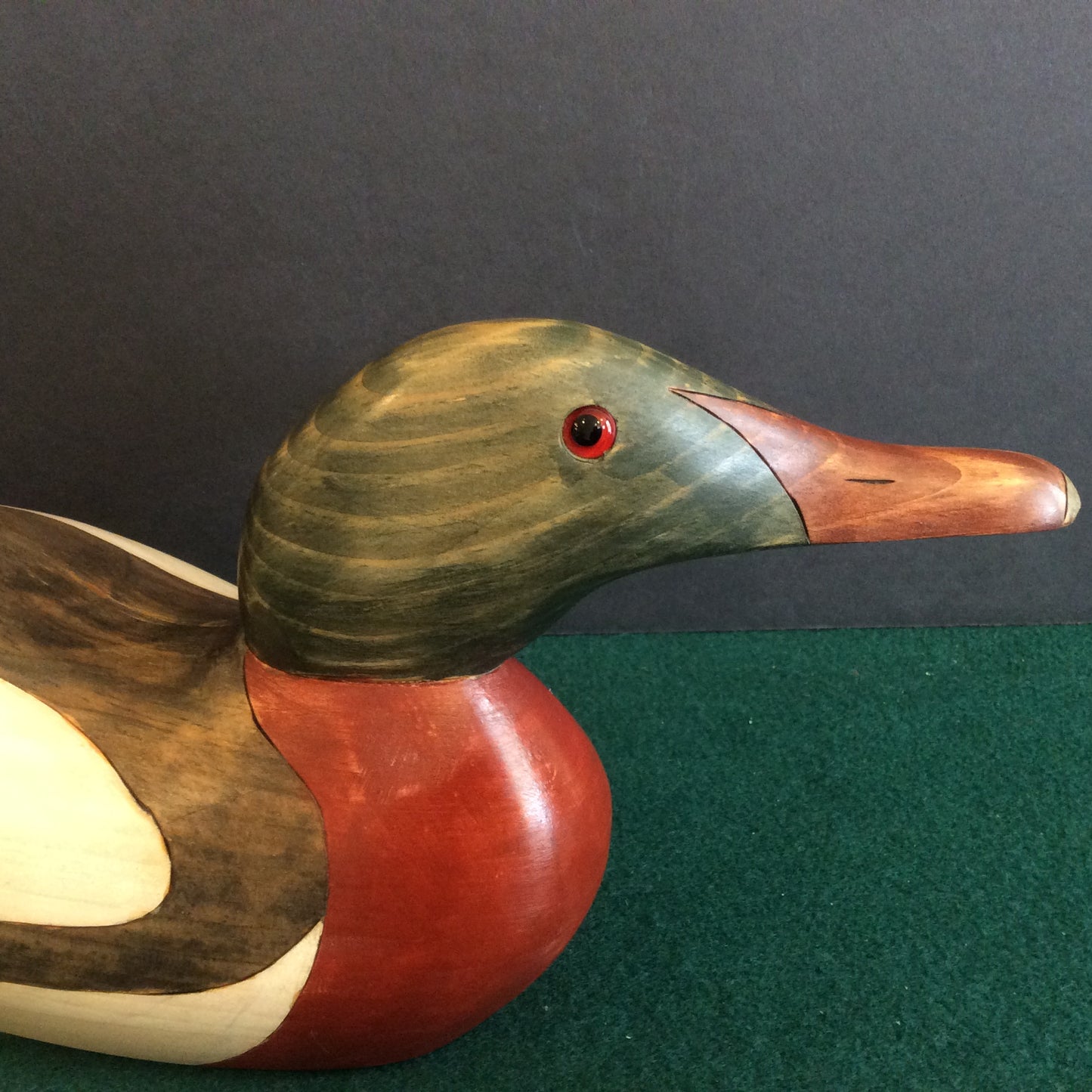Mason Merganser,