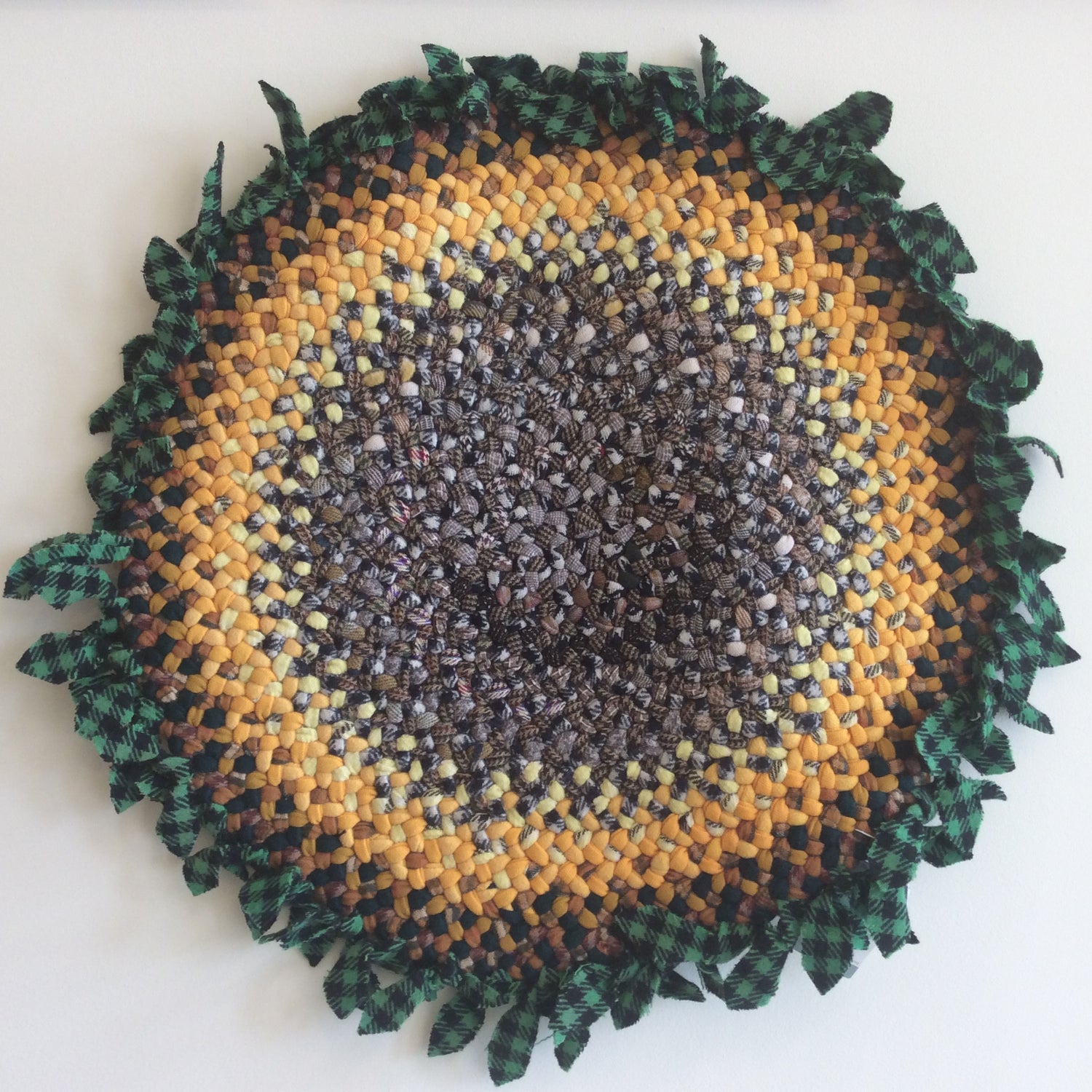 Braided Rug Art