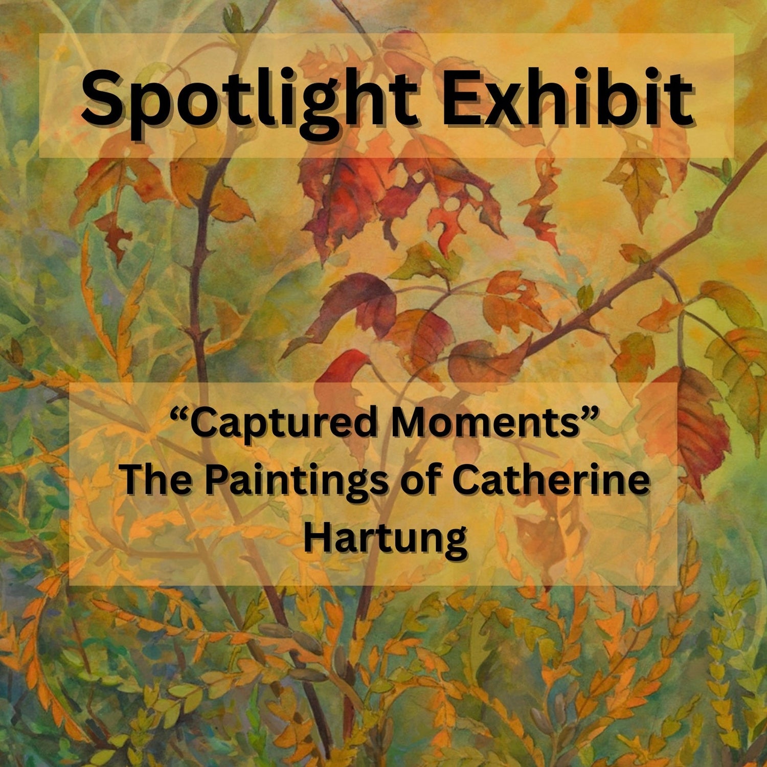 Spotlight Exhibit, “Captured Moments” - The Art of Catherine Hartung