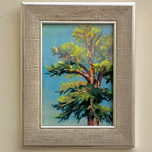 Tree Study 3 - Original Framed Pastel