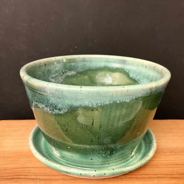 Planter in Greens with Attached Saucer