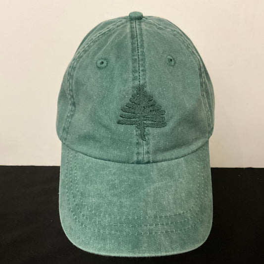 TAUNY Cap Pine Green