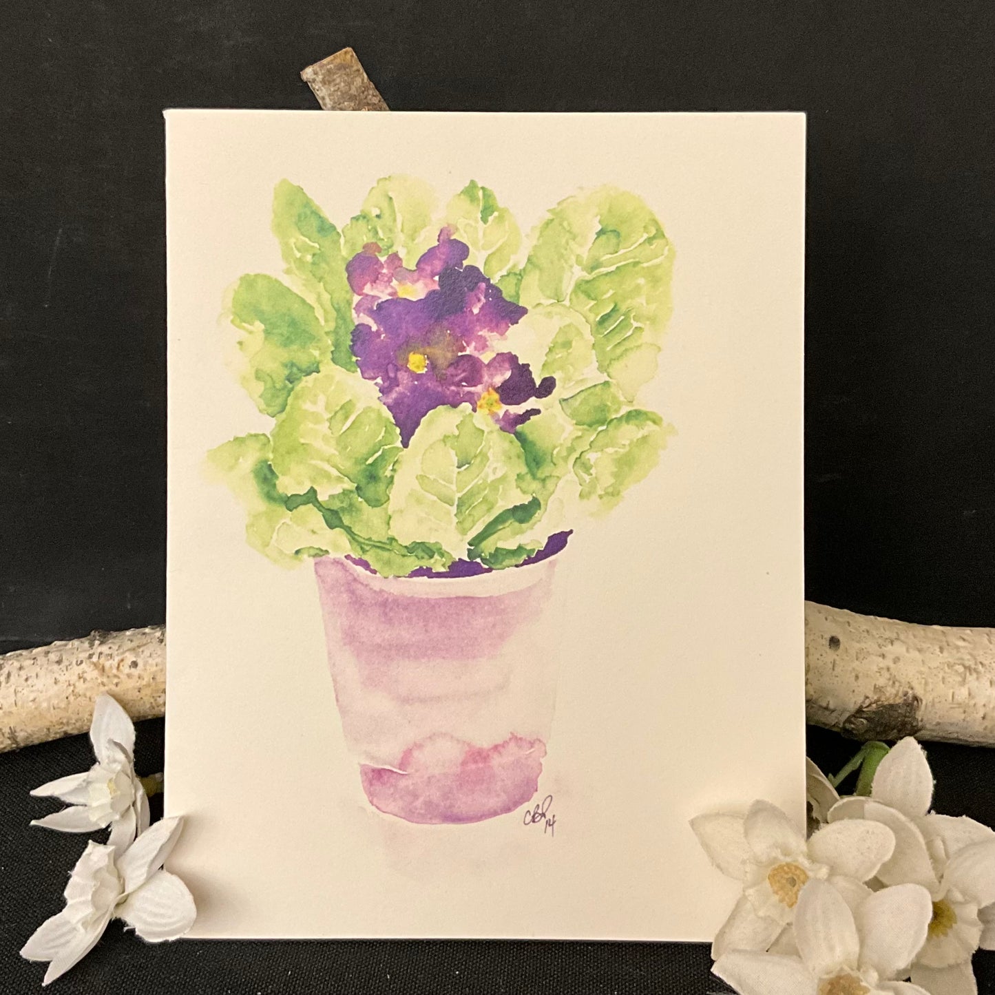Purple Primula greeting card
