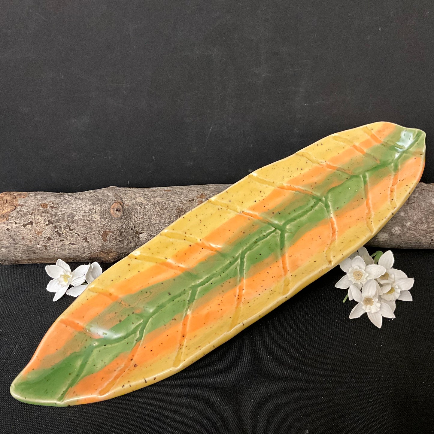 Long Leaf Dish Tropical Colors