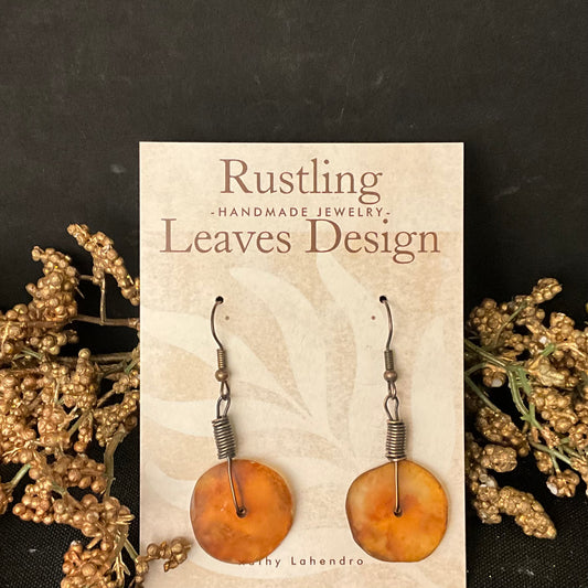 Gold Disc with Wires Earrings