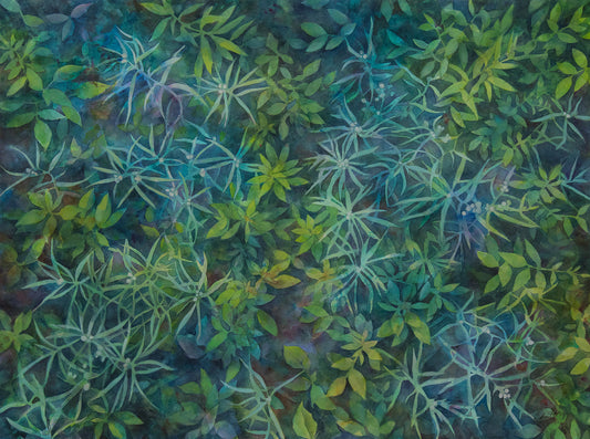 “Pearly Everlastings”, Framed Painting
