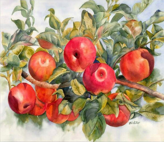 "Fall Harvest”, Framed Original Watercolor