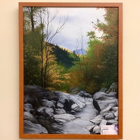 “Adirondack Stream", Oil on Canvas, Douglas Wooster, Plattsburgh, NY