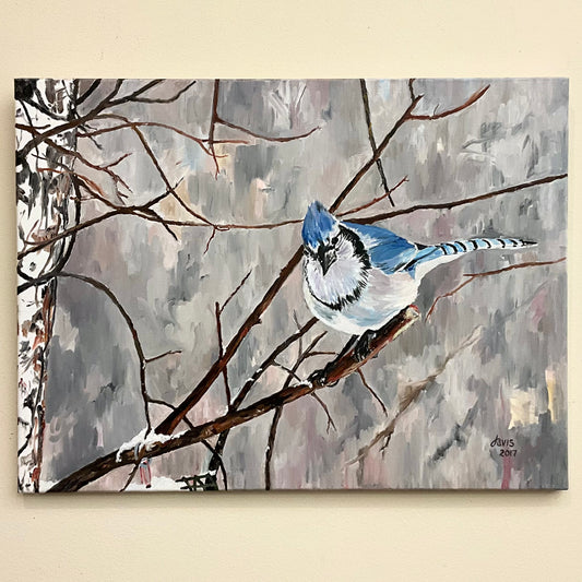“Winter Blue Jay” Original Painting
