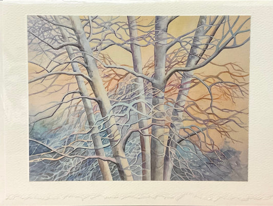 “Morning Light” Note Card