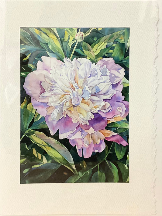 “Peony” Note Card