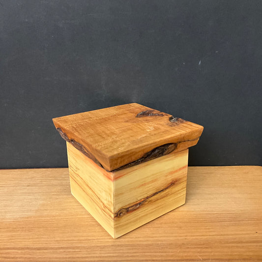 Box Elder & Maple 3" Box #2541