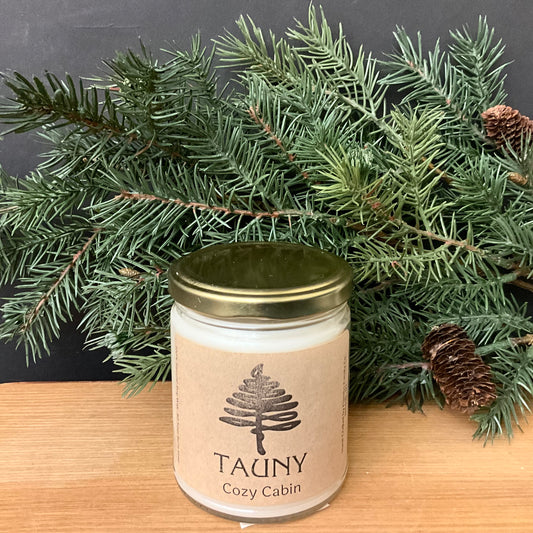 Soy Candle Cozy Cabin